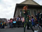 2009-Mystic-Krewe-of-Barkus-Mardi-Gras-French-Quarter-New-Orleans-Dog-Parade-Harriet-Cross-7448