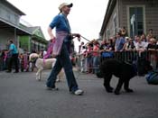 2009-Mystic-Krewe-of-Barkus-Mardi-Gras-French-Quarter-New-Orleans-Dog-Parade-Harriet-Cross-7454