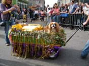 2009-Mystic-Krewe-of-Barkus-Mardi-Gras-French-Quarter-New-Orleans-Dog-Parade-Harriet-Cross-7457