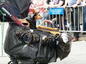 2009-Mystic-Krewe-of-Barkus-Mardi-Gras-French-Quarter-New-Orleans-Dog-Parade-Harriet-Cross-7460