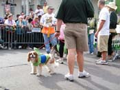 2009-Mystic-Krewe-of-Barkus-Mardi-Gras-French-Quarter-New-Orleans-Dog-Parade-Harriet-Cross-7485