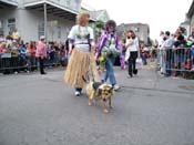 2009-Mystic-Krewe-of-Barkus-Mardi-Gras-French-Quarter-New-Orleans-Dog-Parade-Harriet-Cross-7493