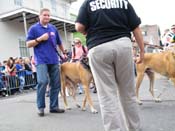 2009-Mystic-Krewe-of-Barkus-Mardi-Gras-French-Quarter-New-Orleans-Dog-Parade-Harriet-Cross-7497