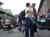 2009-Mystic-Krewe-of-Barkus-Mardi-Gras-French-Quarter-New-Orleans-Dog-Parade-Harriet-Cross-7508