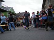 2009-Mystic-Krewe-of-Barkus-Mardi-Gras-French-Quarter-New-Orleans-Dog-Parade-Harriet-Cross-7509