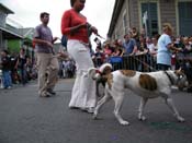 2009-Mystic-Krewe-of-Barkus-Mardi-Gras-French-Quarter-New-Orleans-Dog-Parade-Harriet-Cross-7510