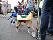 2009-Mystic-Krewe-of-Barkus-Mardi-Gras-French-Quarter-New-Orleans-Dog-Parade-Harriet-Cross-7514