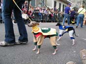 2009-Mystic-Krewe-of-Barkus-Mardi-Gras-French-Quarter-New-Orleans-Dog-Parade-Harriet-Cross-7519