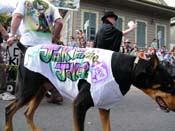 2009-Mystic-Krewe-of-Barkus-Mardi-Gras-French-Quarter-New-Orleans-Dog-Parade-Harriet-Cross-7523