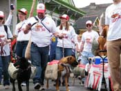 2009-Mystic-Krewe-of-Barkus-Mardi-Gras-French-Quarter-New-Orleans-Dog-Parade-Harriet-Cross-7526