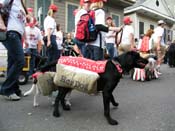 2009-Mystic-Krewe-of-Barkus-Mardi-Gras-French-Quarter-New-Orleans-Dog-Parade-Harriet-Cross-7529