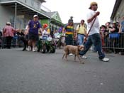 2009-Mystic-Krewe-of-Barkus-Mardi-Gras-French-Quarter-New-Orleans-Dog-Parade-Harriet-Cross-7550