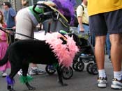 2009-Mystic-Krewe-of-Barkus-Mardi-Gras-French-Quarter-New-Orleans-Dog-Parade-Harriet-Cross-7556