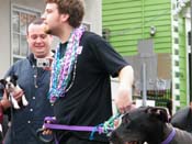 2009-Mystic-Krewe-of-Barkus-Mardi-Gras-French-Quarter-New-Orleans-Dog-Parade-Harriet-Cross-7562