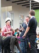 2009-Mystic-Krewe-of-Barkus-Mardi-Gras-French-Quarter-New-Orleans-Dog-Parade-Harriet-Cross-7563