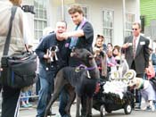 2009-Mystic-Krewe-of-Barkus-Mardi-Gras-French-Quarter-New-Orleans-Dog-Parade-Harriet-Cross-7564