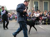 2009-Mystic-Krewe-of-Barkus-Mardi-Gras-French-Quarter-New-Orleans-Dog-Parade-Harriet-Cross-7565