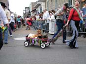 2009-Mystic-Krewe-of-Barkus-Mardi-Gras-French-Quarter-New-Orleans-Dog-Parade-Harriet-Cross-7584