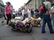 2009-Mystic-Krewe-of-Barkus-Mardi-Gras-French-Quarter-New-Orleans-Dog-Parade-Harriet-Cross-7587