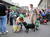 2009-Mystic-Krewe-of-Barkus-Mardi-Gras-French-Quarter-New-Orleans-Dog-Parade-Harriet-Cross-7595