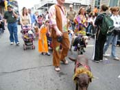 2009-Mystic-Krewe-of-Barkus-Mardi-Gras-French-Quarter-New-Orleans-Dog-Parade-Harriet-Cross-7607