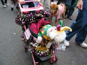 2009-Mystic-Krewe-of-Barkus-Mardi-Gras-French-Quarter-New-Orleans-Dog-Parade-Harriet-Cross-7612