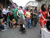 2009-Mystic-Krewe-of-Barkus-Mardi-Gras-French-Quarter-New-Orleans-Dog-Parade-Harriet-Cross-7622