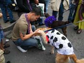 2009-Mystic-Krewe-of-Barkus-Mardi-Gras-French-Quarter-New-Orleans-Dog-Parade-Harriet-Cross-7630