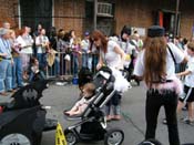 2009-Mystic-Krewe-of-Barkus-Mardi-Gras-French-Quarter-New-Orleans-Dog-Parade-Harriet-Cross-7643