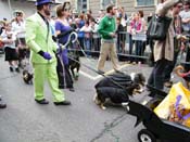 2009-Mystic-Krewe-of-Barkus-Mardi-Gras-French-Quarter-New-Orleans-Dog-Parade-Harriet-Cross-7666