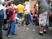 2009-Mystic-Krewe-of-Barkus-Mardi-Gras-French-Quarter-New-Orleans-Dog-Parade-Harriet-Cross-7688