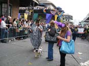 2009-Mystic-Krewe-of-Barkus-Mardi-Gras-French-Quarter-New-Orleans-Dog-Parade-Harriet-Cross-7715