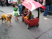 2009-Mystic-Krewe-of-Barkus-Mardi-Gras-French-Quarter-New-Orleans-Dog-Parade-Harriet-Cross-7716