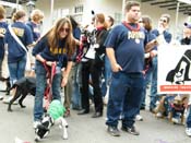 2009-Mystic-Krewe-of-Barkus-Mardi-Gras-French-Quarter-New-Orleans-Dog-Parade-Harriet-Cross-7721