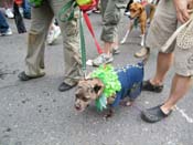 2009-Mystic-Krewe-of-Barkus-Mardi-Gras-French-Quarter-New-Orleans-Dog-Parade-Harriet-Cross-7729