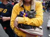 2009-Mystic-Krewe-of-Barkus-Mardi-Gras-French-Quarter-New-Orleans-Dog-Parade-Harriet-Cross-7739