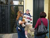 2009-Mystic-Krewe-of-Barkus-Mardi-Gras-French-Quarter-New-Orleans-Dog-Parade-Harriet-Cross-7748