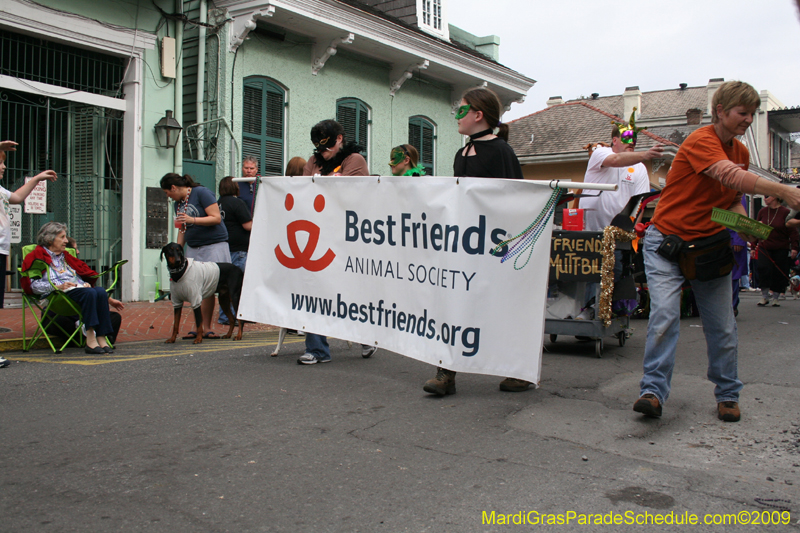 2009-Mystic-Krewe-of-Barkus-Mardi-Gras-French-Quarter-New-Orleans-Dog-Parade-0648