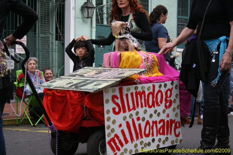 2009-Mystic-Krewe-of-Barkus-Mardi-Gras-French-Quarter-New-Orleans-Dog-Parade-0691