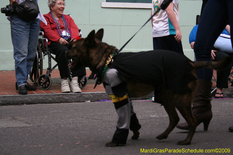 2009-Mystic-Krewe-of-Barkus-Mardi-Gras-French-Quarter-New-Orleans-Dog-Parade-0704