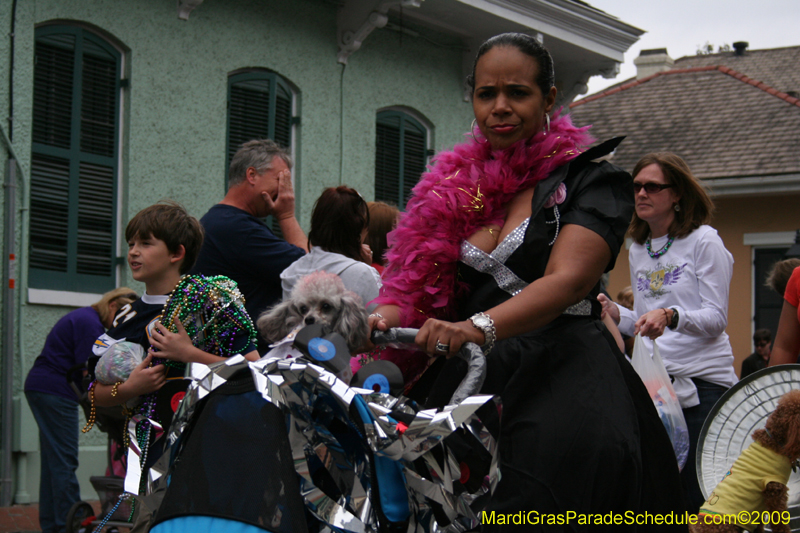 2009-Mystic-Krewe-of-Barkus-Mardi-Gras-French-Quarter-New-Orleans-Dog-Parade-0736