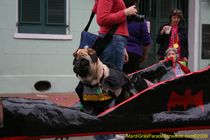 2009-Mystic-Krewe-of-Barkus-Mardi-Gras-French-Quarter-New-Orleans-Dog-Parade-0743