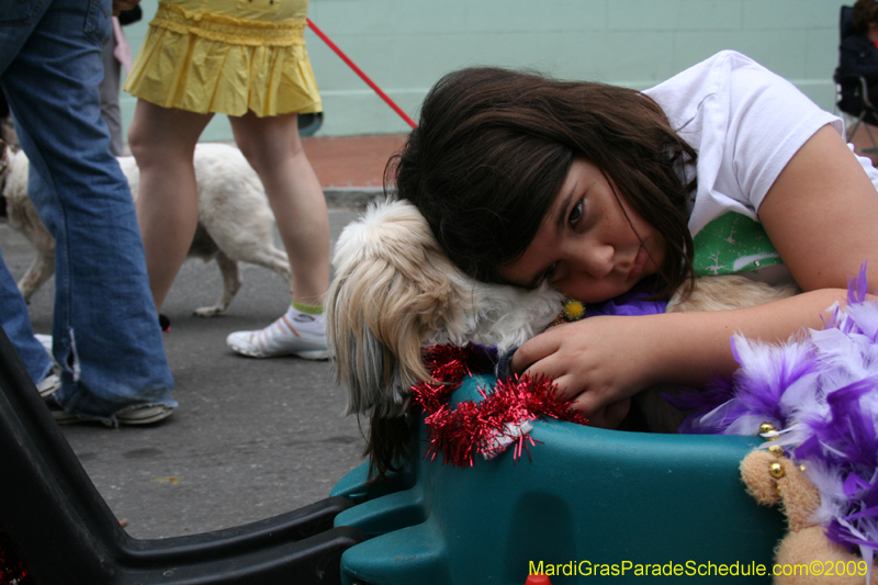 2009-Mystic-Krewe-of-Barkus-Mardi-Gras-French-Quarter-New-Orleans-Dog-Parade-0774