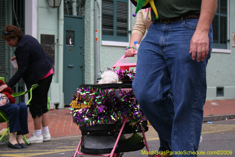 2009-Mystic-Krewe-of-Barkus-Mardi-Gras-French-Quarter-New-Orleans-Dog-Parade-0841