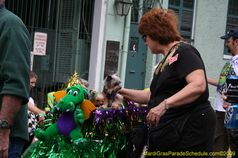 2009-Mystic-Krewe-of-Barkus-Mardi-Gras-French-Quarter-New-Orleans-Dog-Parade-0846