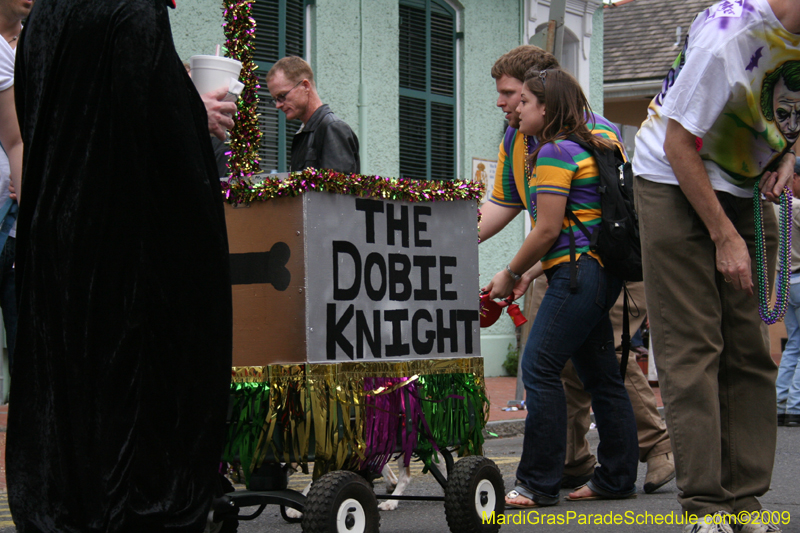 2009-Mystic-Krewe-of-Barkus-Mardi-Gras-French-Quarter-New-Orleans-Dog-Parade-0848