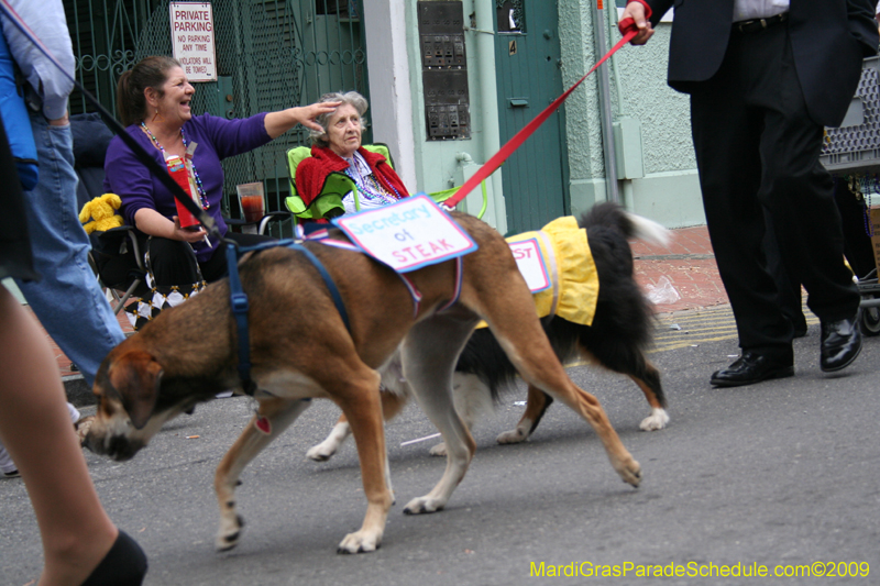 2009-Mystic-Krewe-of-Barkus-Mardi-Gras-French-Quarter-New-Orleans-Dog-Parade-0886