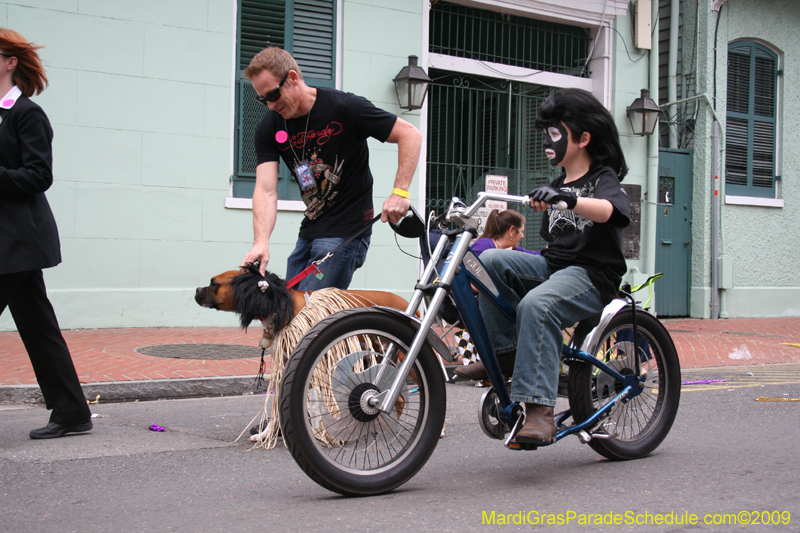 2009-Mystic-Krewe-of-Barkus-Mardi-Gras-French-Quarter-New-Orleans-Dog-Parade-0889