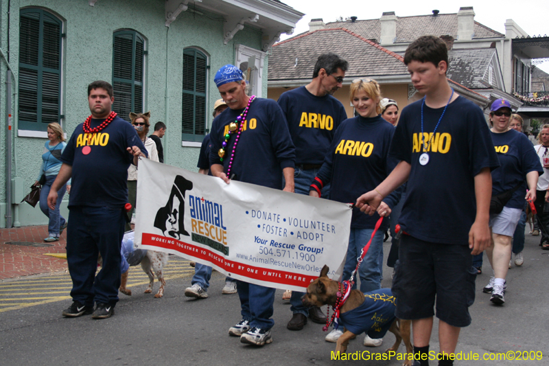 2009-Mystic-Krewe-of-Barkus-Mardi-Gras-French-Quarter-New-Orleans-Dog-Parade-0952