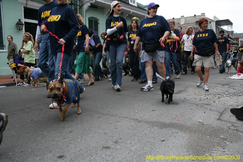 2009-Mystic-Krewe-of-Barkus-Mardi-Gras-French-Quarter-New-Orleans-Dog-Parade-0953